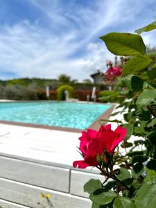 a red rose in front of a swimming pool at Holiday Home Sovenigo in Puegnago