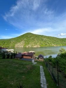 a house on the side of a lake with a hill at Georgia Bahna in Orşova