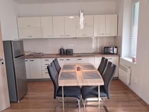 Kuchyň nebo kuchyňský kout v ubytování Apartmany Rubin Nesvady
