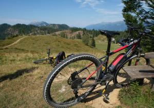 Attività di ciclismo presso l'affittacamere o nelle vicinanze