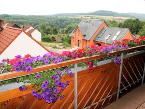 a balcony with purple and purple flowers on it at Ferienwohnung am Rotdornweg in Heiligenstadt