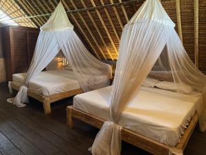 2 camas en una habitación con mosquiteras en Flower Bud Bungalow Balangan, en Jimbaran