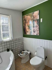 a bathroom with a white toilet and a green wall at Lovely Bright Summer House Close To Hornbæk, in Hornbæk