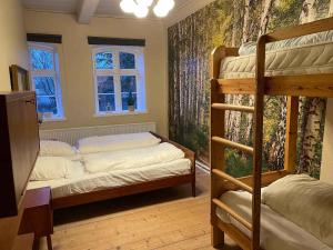 um quarto com 2 beliches e uma janela em Country Idyll With Wilderness Bath And Sauna, em Haderslev