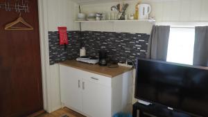 a small kitchen with a counter and a tv at Riverside Bliss - Cozy Cabin near Tvedestrand with WiFi and Deck in Vegårshei