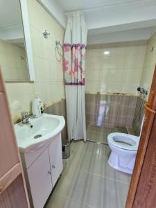 een badkamer met een witte wastafel en een toilet bij Georgia Bahna in Orşova