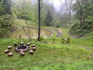 Сад в Chalet en forêt avec etang.