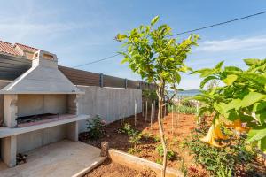 Vonkajšia záhrada v ubytovaní Holiday House Anica