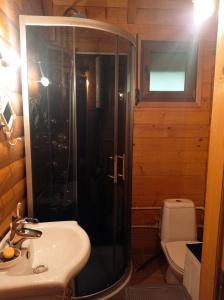 a bathroom with a shower and a sink and a toilet at ČAROBNI KUTAK in Kruševac