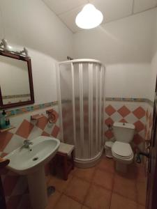 uma casa de banho com um chuveiro, um WC e um lavatório. em Finca La Tacita - Petunia em Conil de la Frontera
