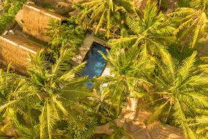 an overhead view of a swimming pool between palm trees at Selvática in Gili Air