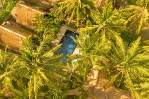 an overhead view of a swimming pool between palm trees at Selvática in Gili Islands