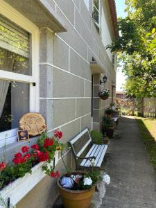 Ein Garten an der Unterkunft Casa SanAndo Integrative Medicine Treat & ReTreat Center