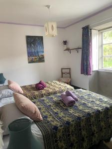 Ein Bett oder Betten in einem Zimmer der Unterkunft Casa SanAndo Integrative Medicine Treat & ReTreat Center
