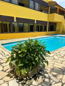 a potted plant in front of a swimming pool at Guarujá H Pousada in Guarujá