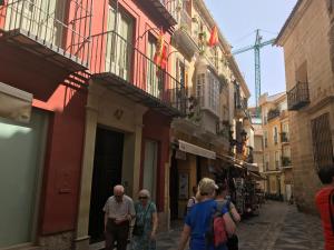 Apartamento Beli Málaga في بينالمادينا: مجموعة من الناس يسيرون في شارع