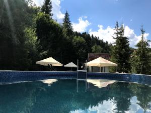 Bazén v ubytování VitaPark Carpaty nebo v jeho okolí