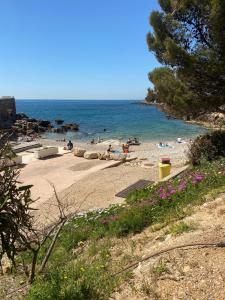 a beach with people swimming in the water at Bandol A Bandol cha cha cha - Appartement in Bandol +39 photos