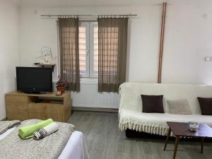 a living room with a couch and a tv at Petković apartman in Bajina Bašta