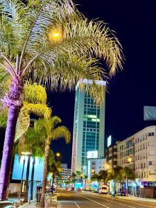 un groupe de palmiers sur une rue de la ville la nuit dans l'établissement The Hotel Syracuse, à Casablanca