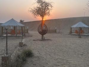Příroda nedaleko luxury tent