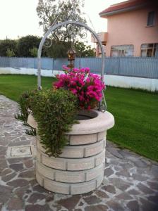 a bird bath with pink flowers in a yard at Alloggio Turistico in Focene +3 photos