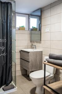 ein Badezimmer mit einem Waschbecken, einem WC und einem Spiegel in der Unterkunft Perfect stay 2 in Maribor