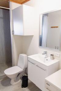 La salle de bains est pourvue de toilettes, d'un lavabo et d'un miroir. dans l'établissement 1 BR apartment for 4 guests in Tórshavn, à Tórshavn