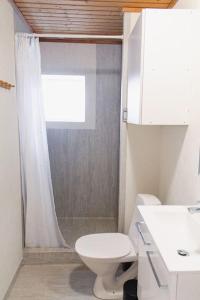 La salle de bains est pourvue de toilettes, d'une douche et d'un lavabo. dans l'établissement 1 BR apartment for 4 guests in Tórshavn, à Tórshavn