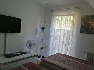 a bedroom with a bed and a window with a television at Endes Dreiseithof - Apartment in Schliengen