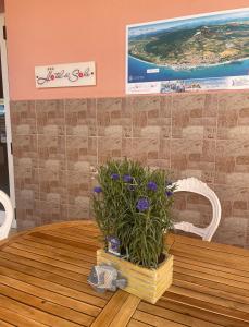 Fotografie z fotogalerie ubytování Hotel del Sole v destinaci San Vincenzo