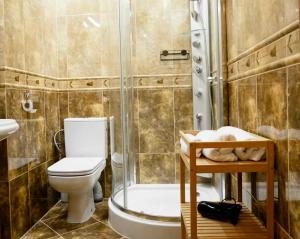 a bathroom with a toilet and a shower and a sink at Leśne Echo in Kazimierz Dolny +89 photos
