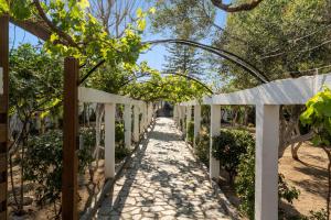A garden outside Ariadni Villas Faliraki