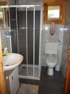 een badkamer met een douche, een toilet en een wastafel bij Komfortables-Ferienblockhaus-Nr-27-56-qm-bis-4-Personen-Viechtach-Jaegerpark in Viechtach