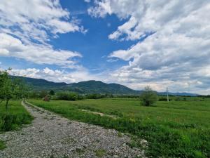 a gravel road in a field with mountains in the background at Casa bunicilor din Oncești in Onceşti