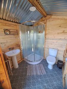 a bathroom with a shower and a toilet and a sink at A Night at the Museum Vintage Glamping in Roodepoort