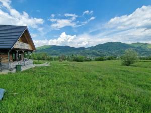 ein Haus auf einem Feld mit Bergen im Hintergrund in der Unterkunft Casa bunicilor din Oncești in Onceşti