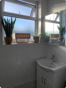 un bagno con lavandino e finestra con piante in vaso di Kenwood Gem a Edmonton