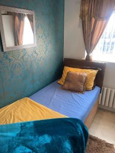 um quarto com uma cama com paredes azuis e um espelho em Jules Homestay Plus em Ocker Hill