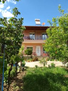 a house with a chair on top of it at Bujtina Bego in Çorovodë