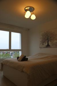 een slaapkamer met een bed met een lamp en 2 ramen bij Haut de gamme 4P GARE EVRY 2 in Courcouronnes