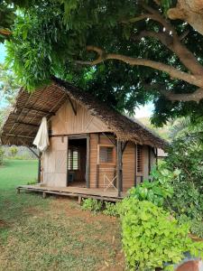 a small house with a thatch roof at La Table d Alexandre Gîte de charme entre mangrove et mer in Hell-Ville