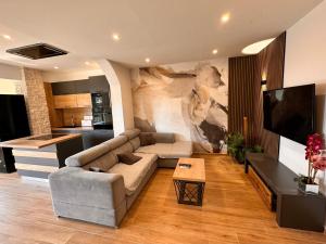 salon z kanapą i telewizorem w obiekcie NOEL - three bedroom apartment with pool w mieście Banjole