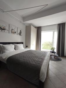 een slaapkamer met een groot bed en een groot raam bij Studio Tabacariei in Constanţa