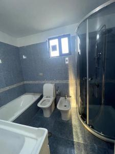 ein Badezimmer mit einer Badewanne, einem WC und einem Waschbecken in der Unterkunft Private House Shkoder in Shkodra