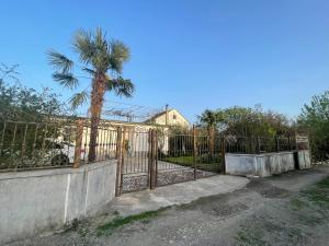 einen schmiedeeisernen Zaun mit einer Palme dahinter in der Unterkunft Private House Shkoder in Shkodra