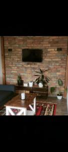 a living room with a television and a table with plants at Vila Zapis in Pirot