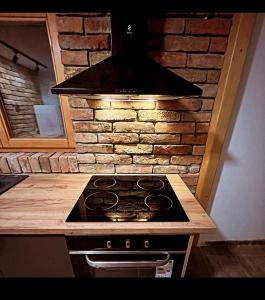 a stove top oven in a kitchen with a brick wall at Vila Zapis Zavojsko jezero in Pirot +38 photos