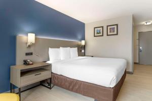 a large bed in a hotel room with a night stand at Comfort Inn & Suites FM1960-Champions in Houston