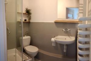 a bathroom with a toilet and a sink at Smrek Sokolec Agroturystyka in Ludwikowice Kłodzkie